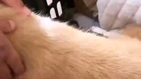 无言以对